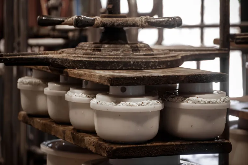Casari Custodi: I Maestri del Formaggio Campano che Tengono Viva la Memoria